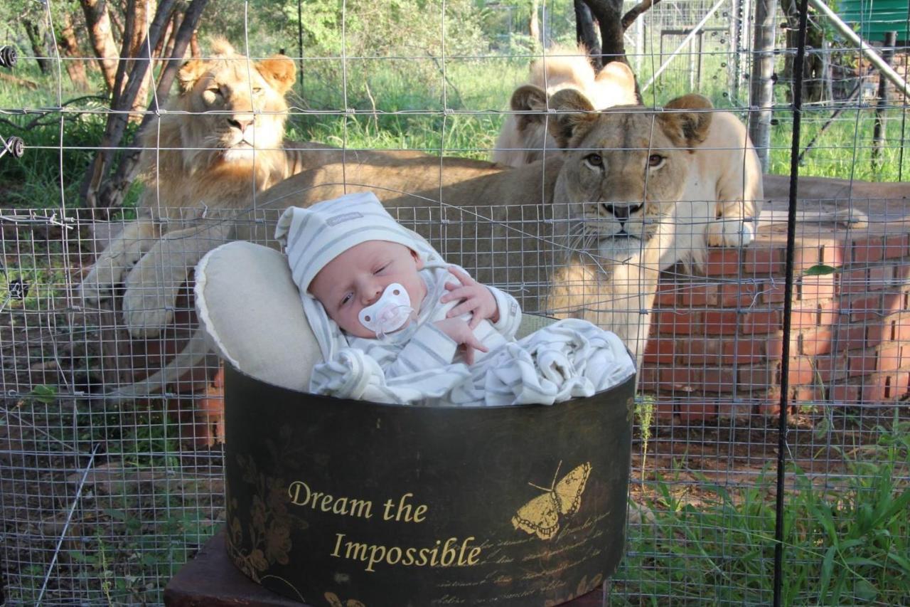 Simba Safaris African Pride Exotic Lodge Lephalale エクステリア 写真