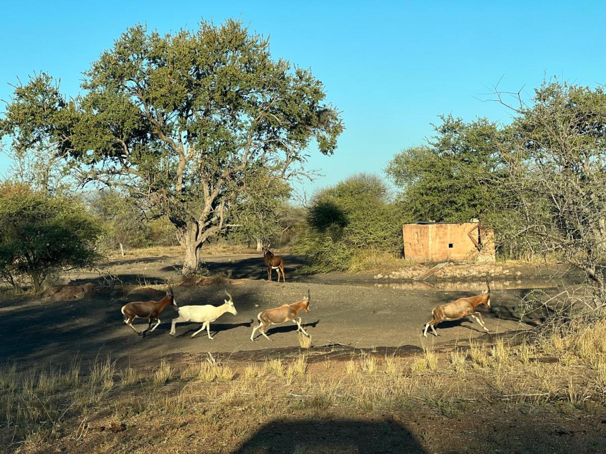 Simba Safaris African Pride Exotic Lodge Lephalale エクステリア 写真