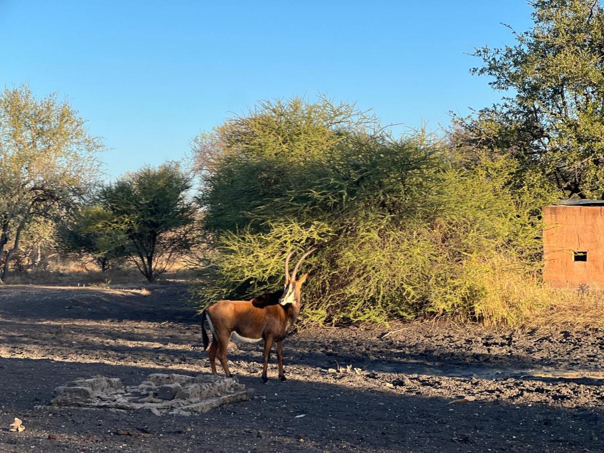 Simba Safaris African Pride Exotic Lodge Lephalale エクステリア 写真