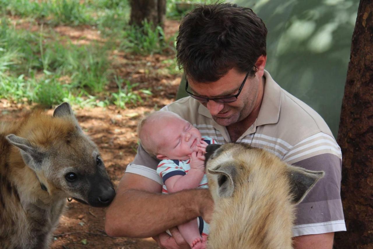 Simba Safaris African Pride Exotic Lodge Lephalale エクステリア 写真