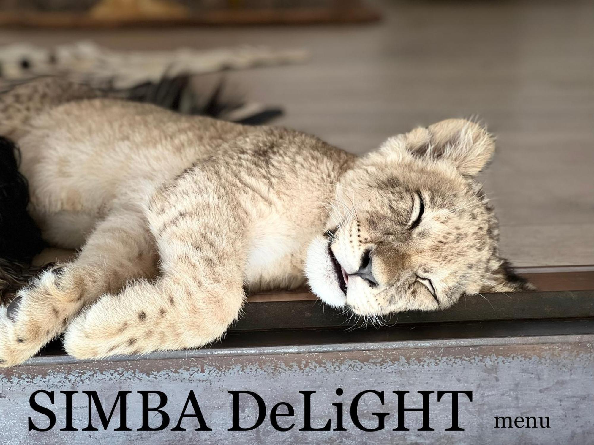Simba Safaris African Pride Exotic Lodge Lephalale エクステリア 写真