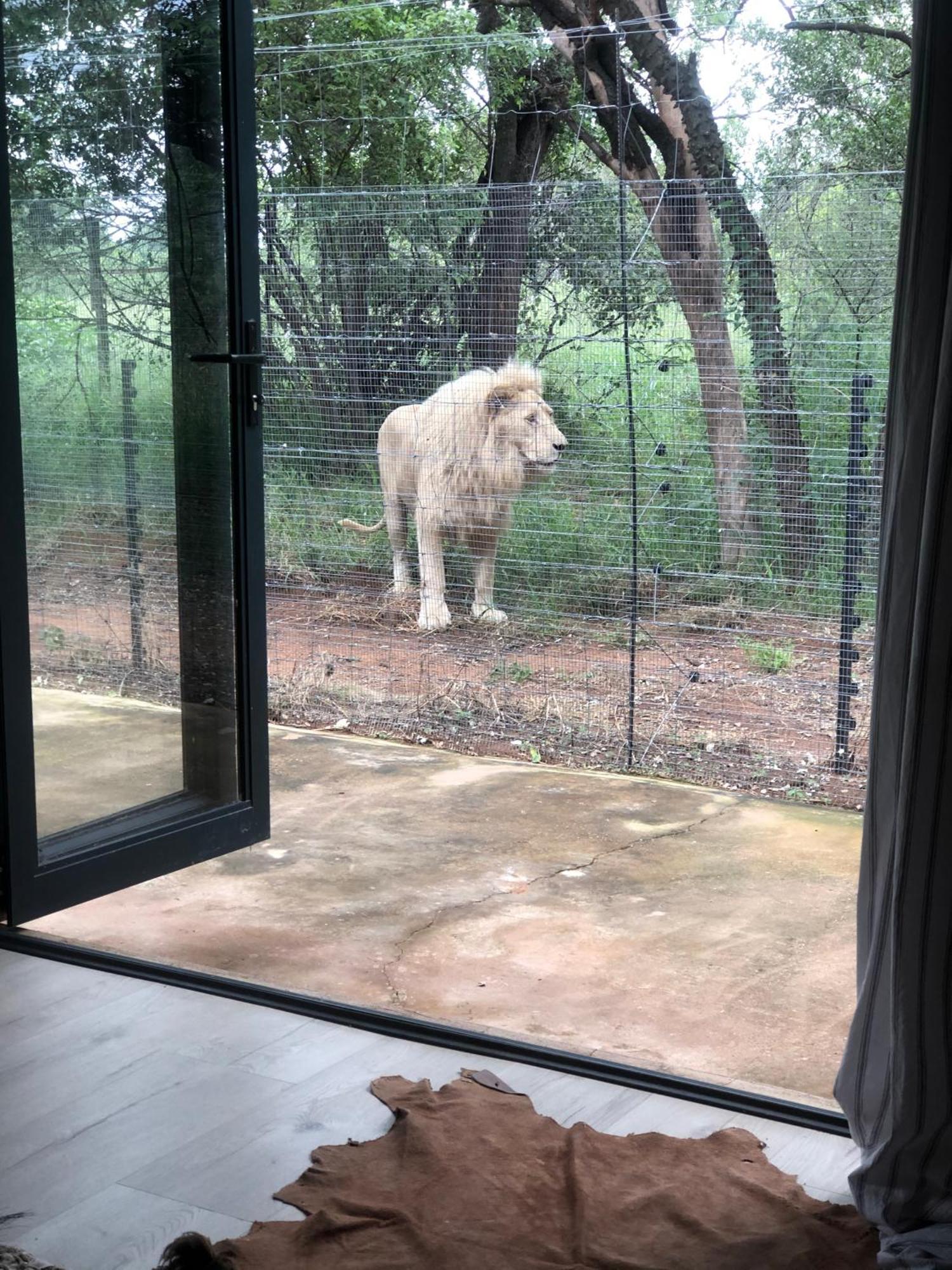 Simba Safaris African Pride Exotic Lodge Lephalale エクステリア 写真