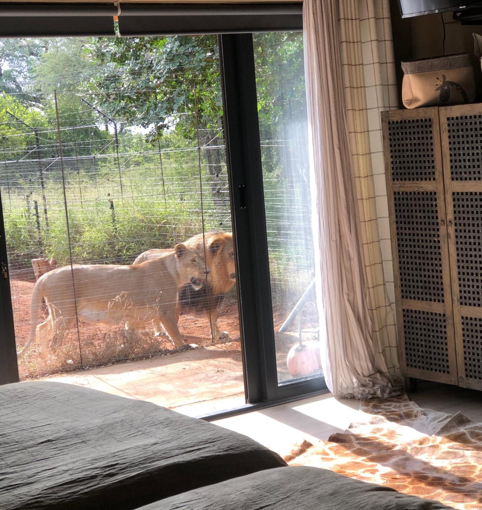 Simba Safaris African Pride Exotic Lodge Lephalale エクステリア 写真