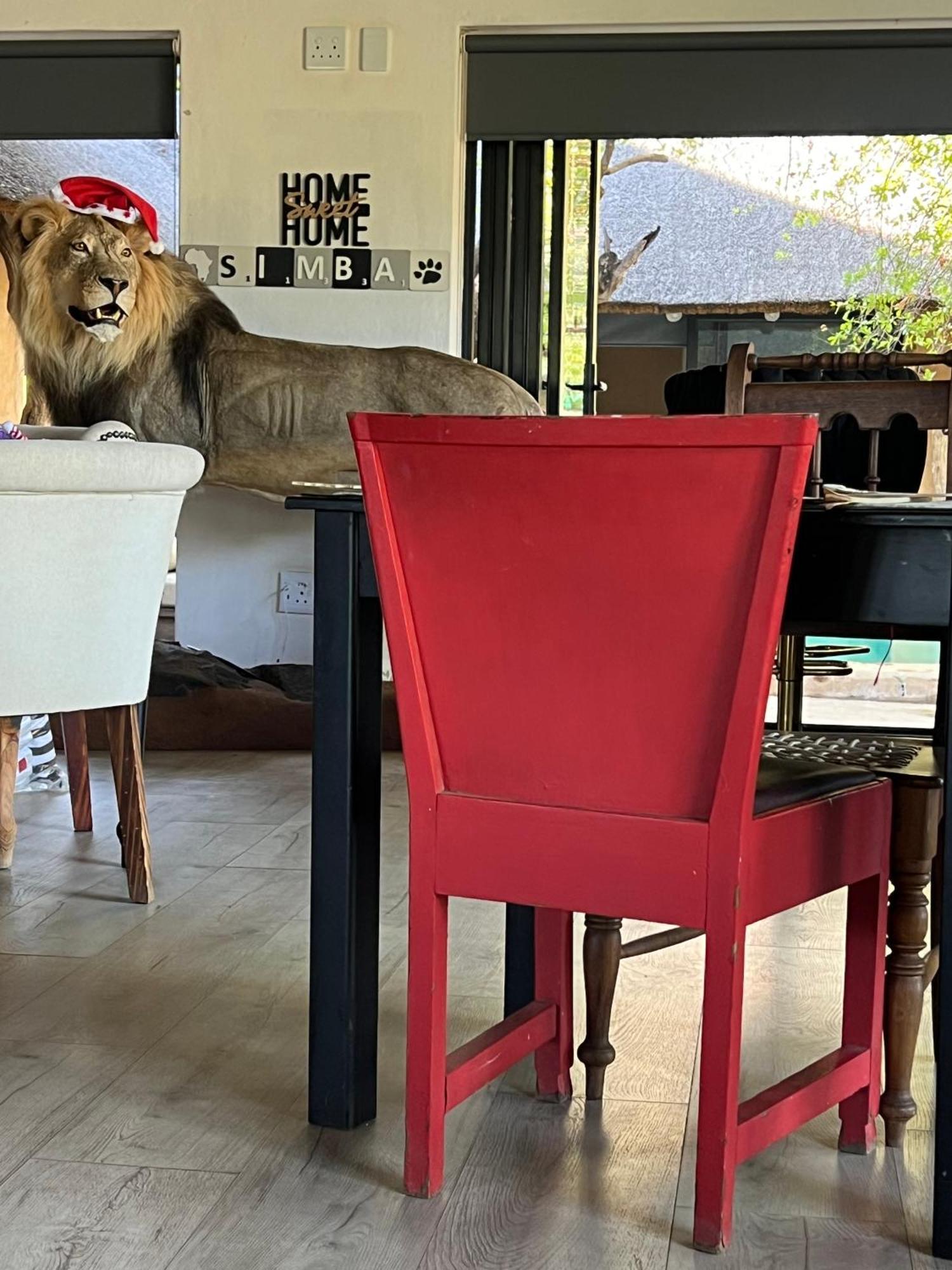Simba Safaris African Pride Exotic Lodge Lephalale エクステリア 写真