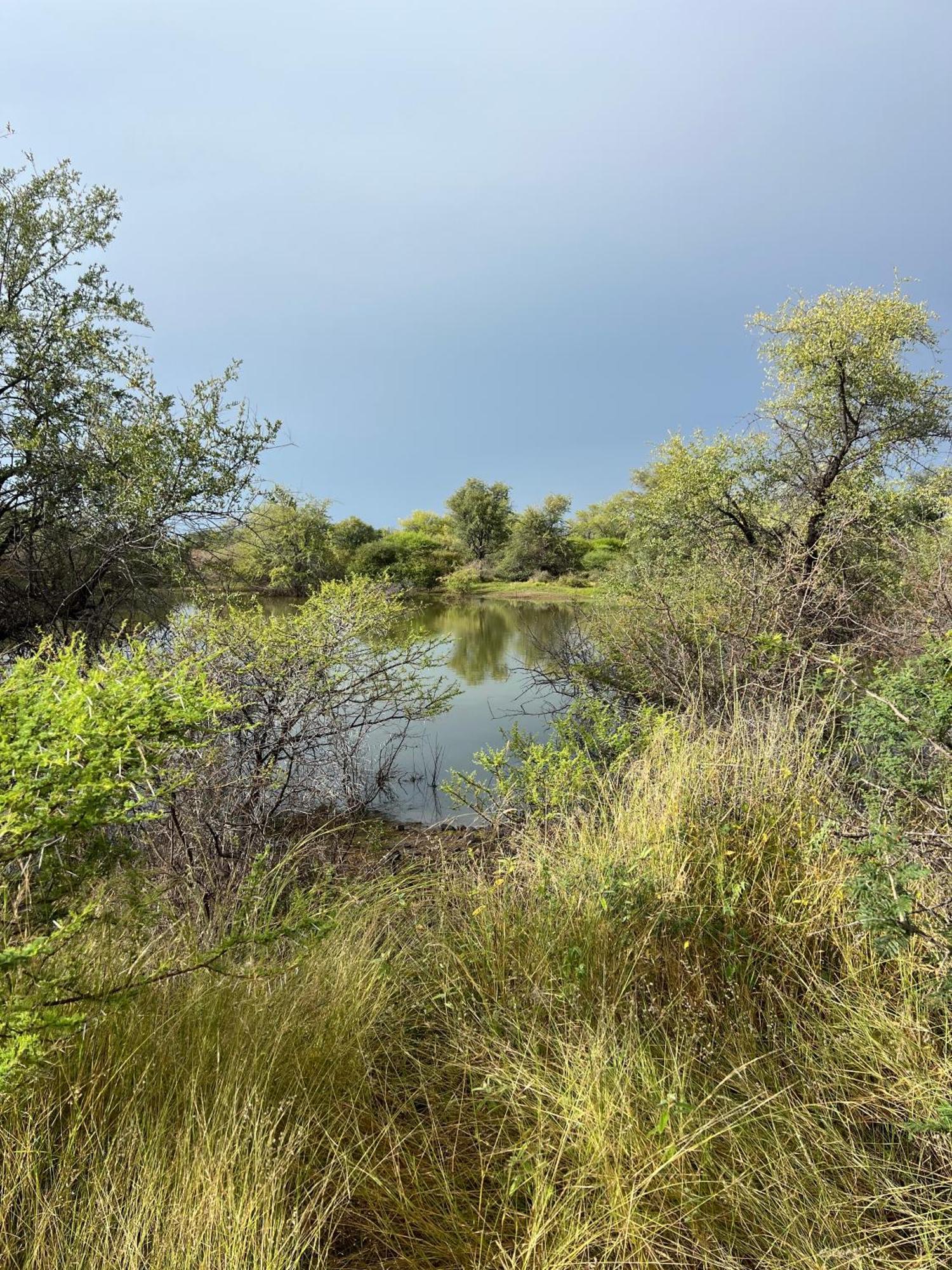 Simba Safaris African Pride Exotic Lodge Lephalale エクステリア 写真